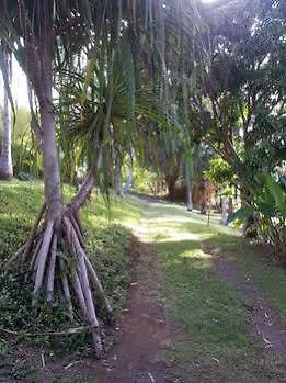 Hale Kukui Orchard & Cottages Honokaa Hotel