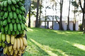 Hale Kukui Orchard & Cottages Honokaa USA