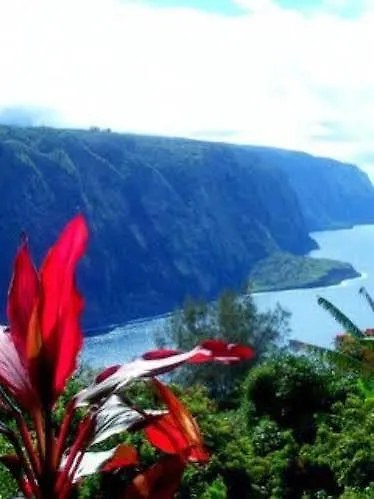 Hotel Hale Kukui Orchard & Cottages Honokaa