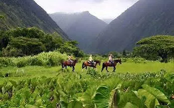 *** Отель Hale Kukui Orchard & Cottages Honokaa США
